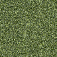 Ковровая плитка Interface Biosfera Boucle 7890 Giado фото 1 | FLOORDEALER